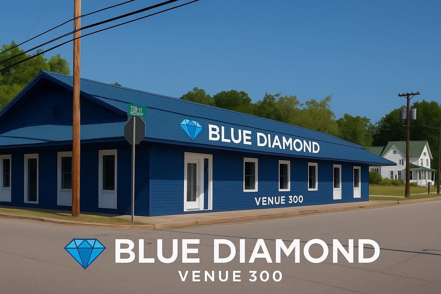 Blue Diamond Venue 300 exterior
